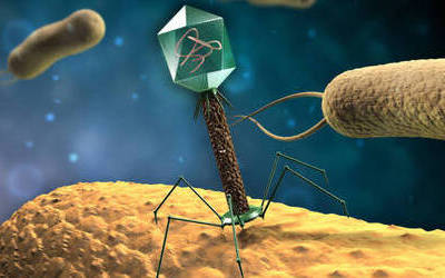 bacteriophage depiction