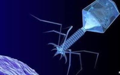bacteriophage depiction