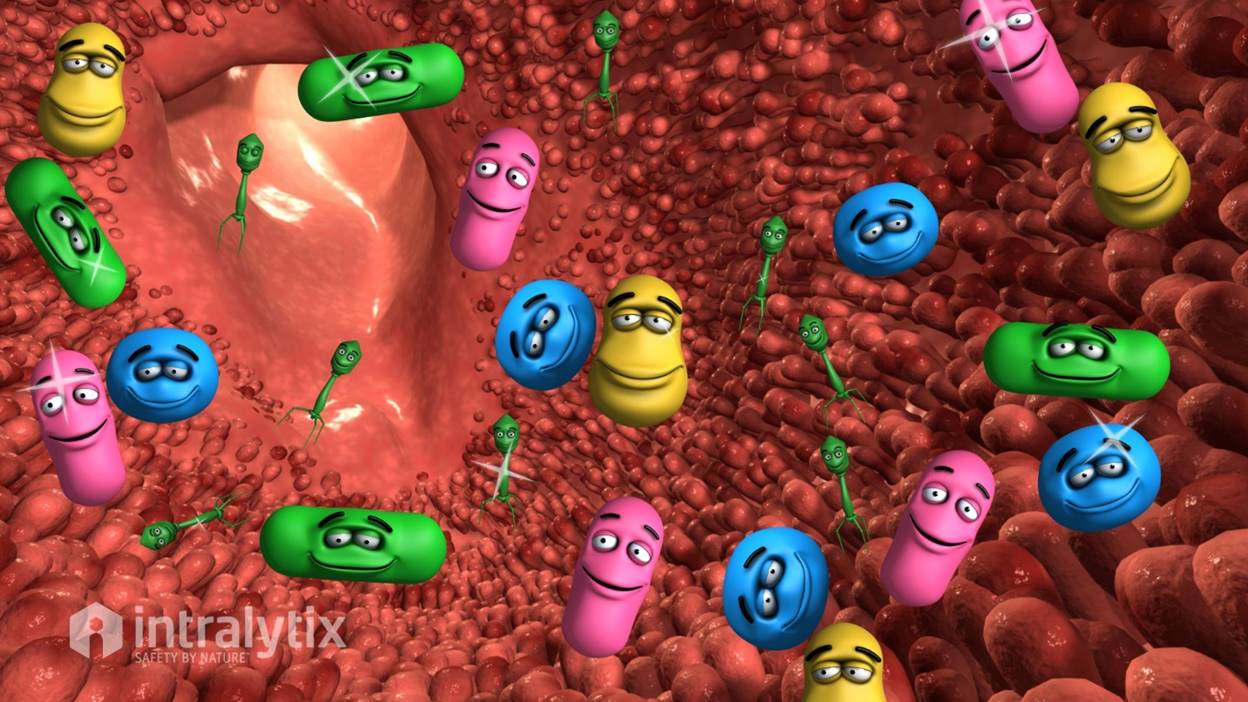 intralytix bacteriophage and gut microflora